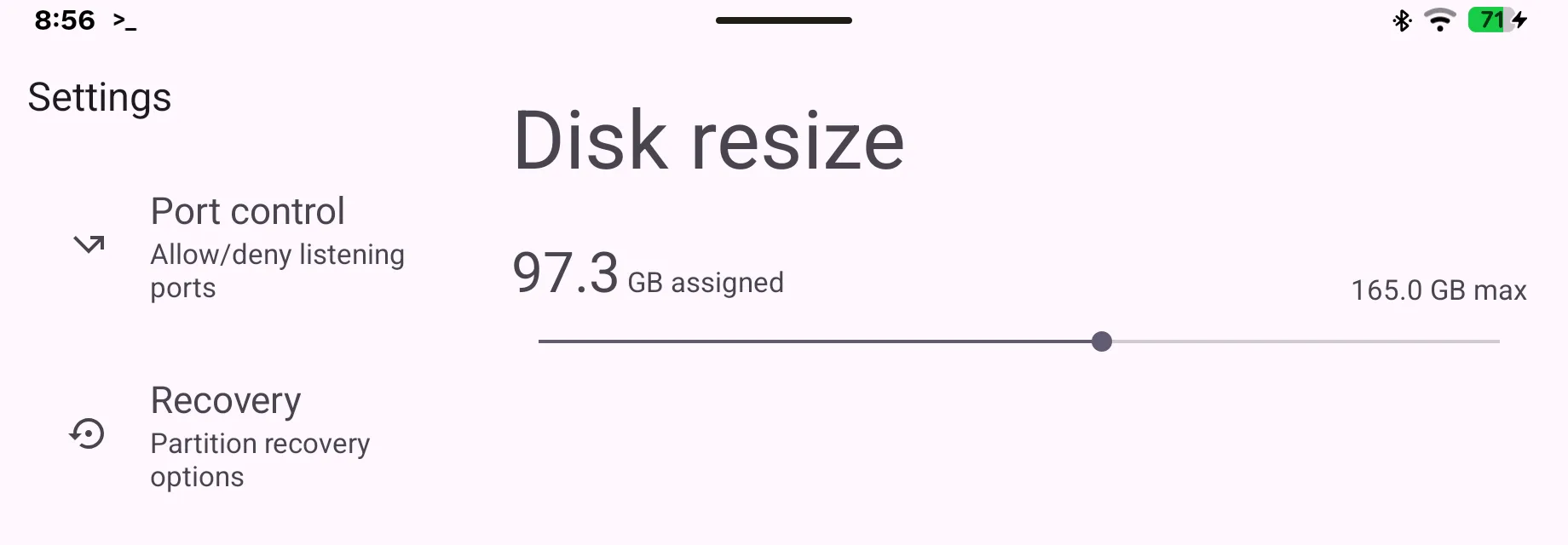 Settings of the Terminal app with the entries Port control and Recovery and the Disk resize slider at 97.3 GB of 165.0 GB